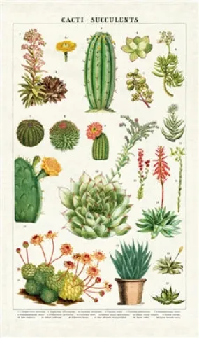  Succulents  Tea Towel