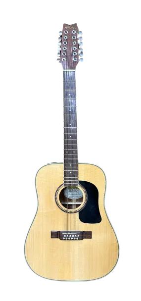 Washburn D10S12 12-String Dreadnought Acoustic Guitar