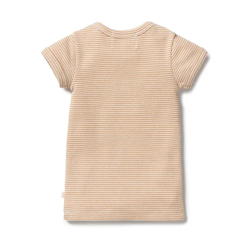 Wilson & Frenchy Organic Rib - Henley Tee - Toffee